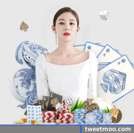 公司成立
